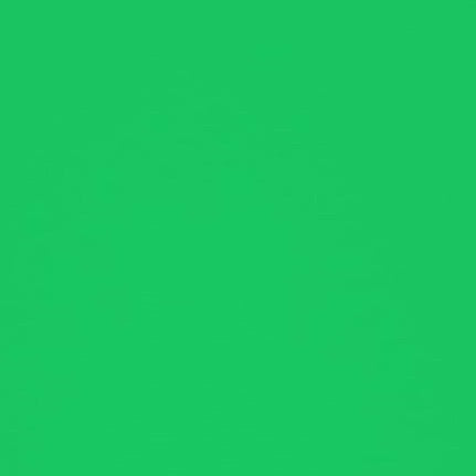 A4 Junior Jolly Foam Colour - Green x 1pc