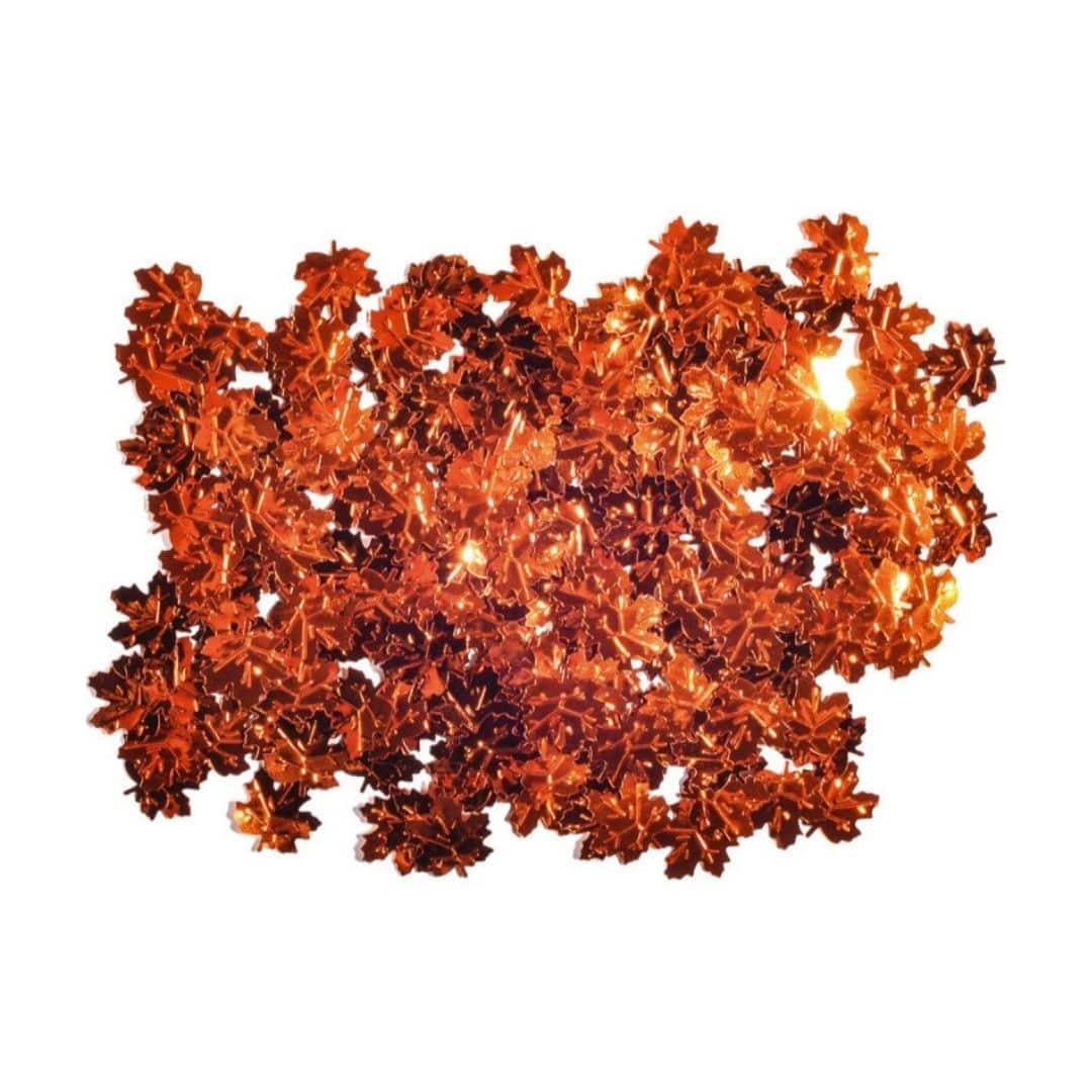 Statovac Confetti Autumn Leaves 18mm - 14grams