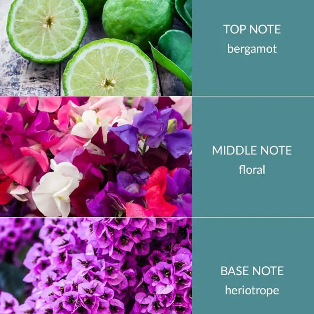 H&H Twin Wick Ellipse Candle 220g - Sweet Pea