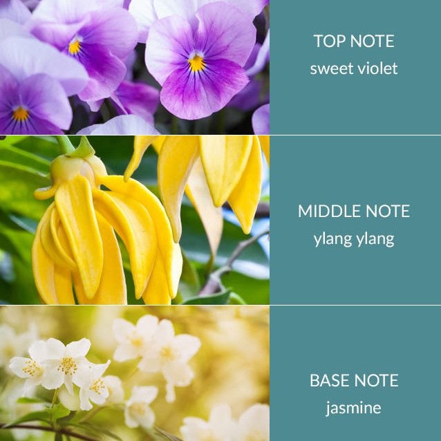 H&H Twin Wick Ellipse Candle 220g - Simply Spa