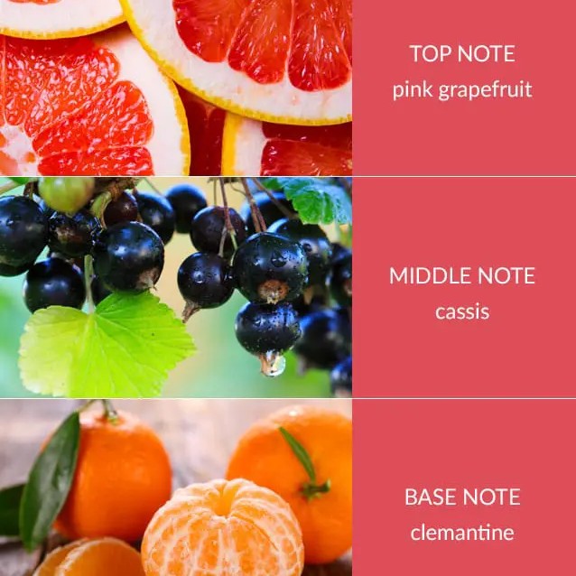 H&H Twin Wick Ellipse Candle 220g - Pink Grapefruit & Cassis