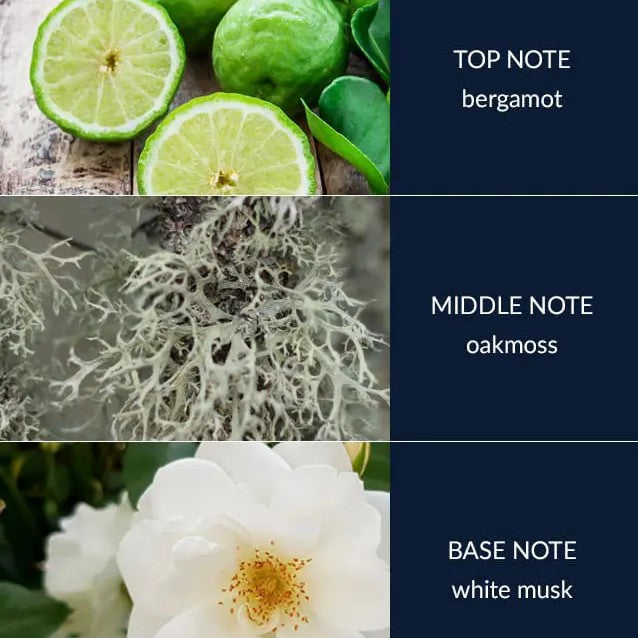 H&H Twin Wick Ellipse Candle 220g - River Rock