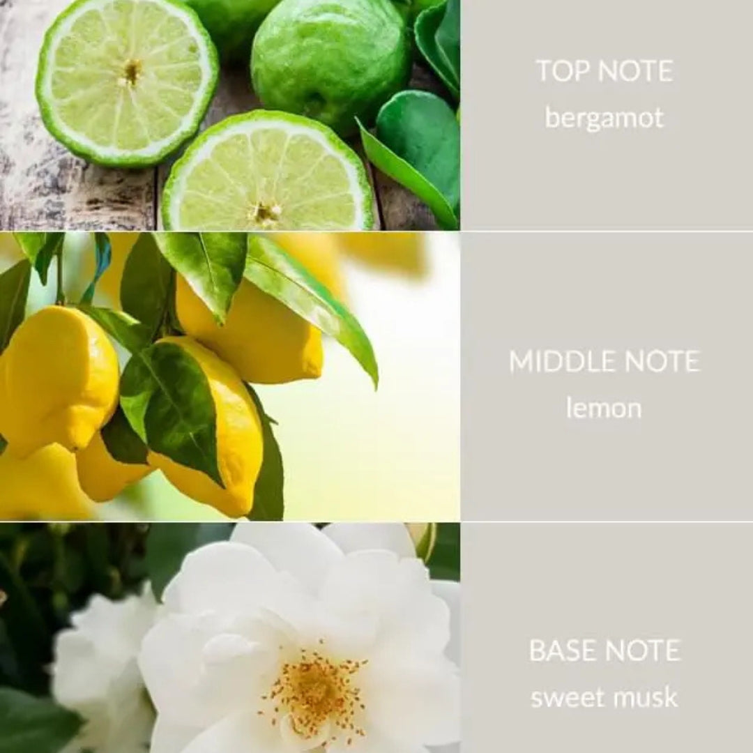 H&H Essential Oil Blend 10ml - Guardian Angel