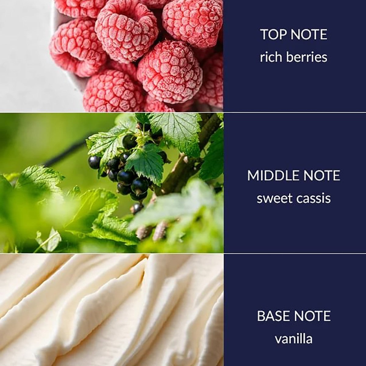 H&H Fragrance Diffuser 70ml - Baubles & Berries