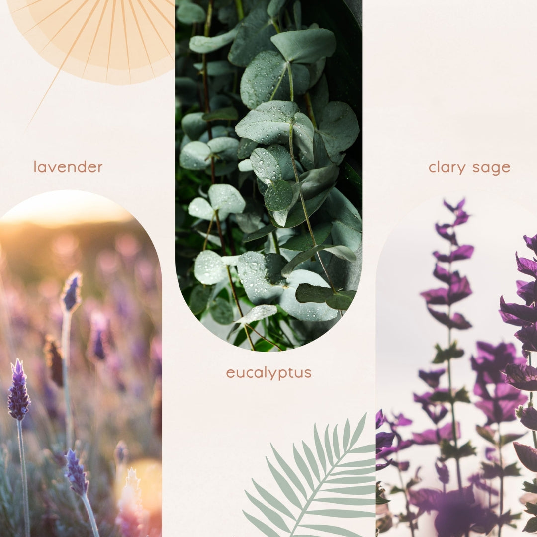 H&H Restore Essential Oil Blend 10ml - Reflective Rest