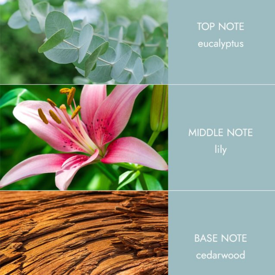 H&H Essential Oil Blend 10ml - Botanical Breeze