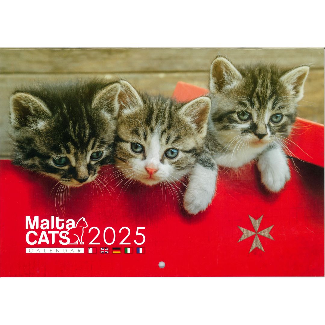 A4 Malta Cats Calendar 2025