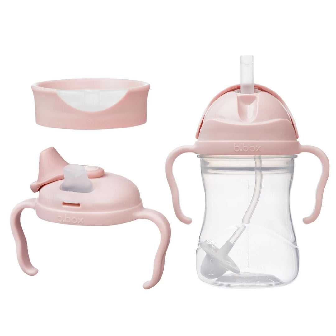 B.Box 3 In 1 Value Set - Blush