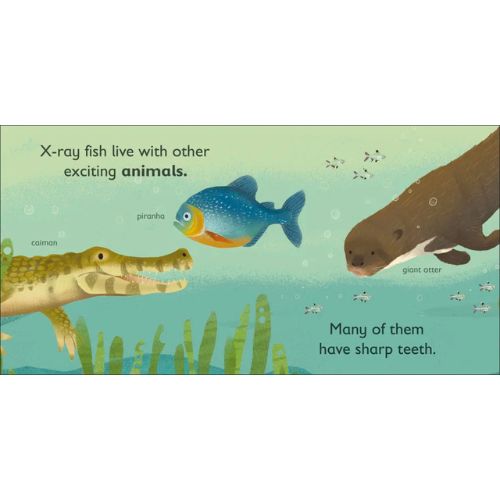 X Is For X-Ray Fish