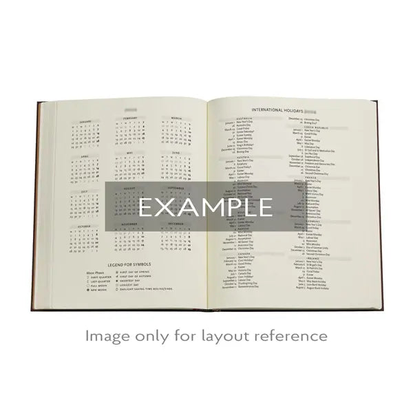 Paperblanks ULTRA - 12-Month Planner Week To View 2026 - 2026 Michelangelo, Handwriting