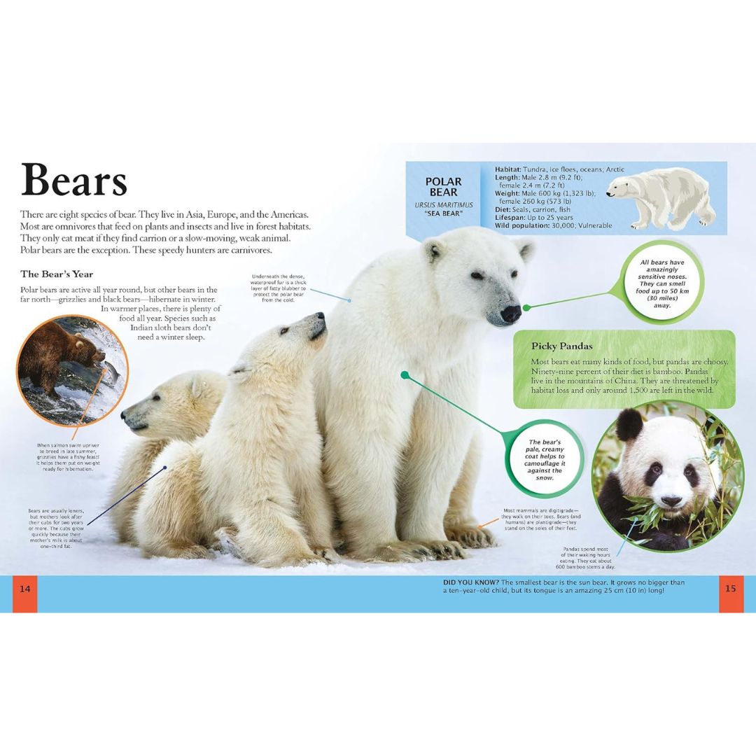 The Animal Book - Take A Walk On The Wild Side!