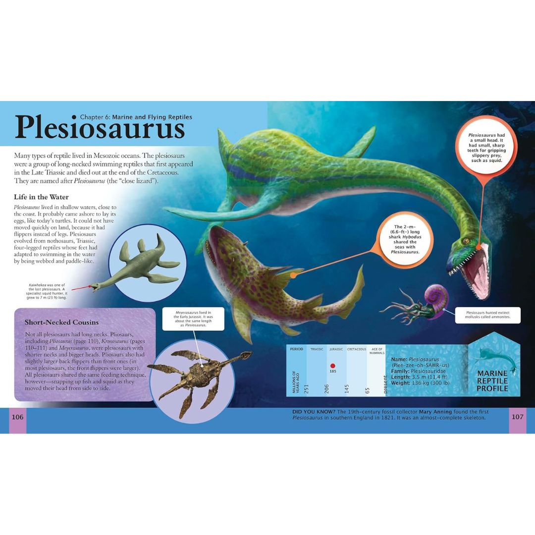 The Dinosaur Book - A Journey Through The Prehistoric World