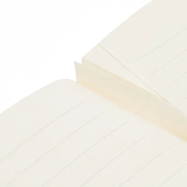 Paperblanks A5 Lined Cahier (Notebook) 80p - Pink Goes Good With Green