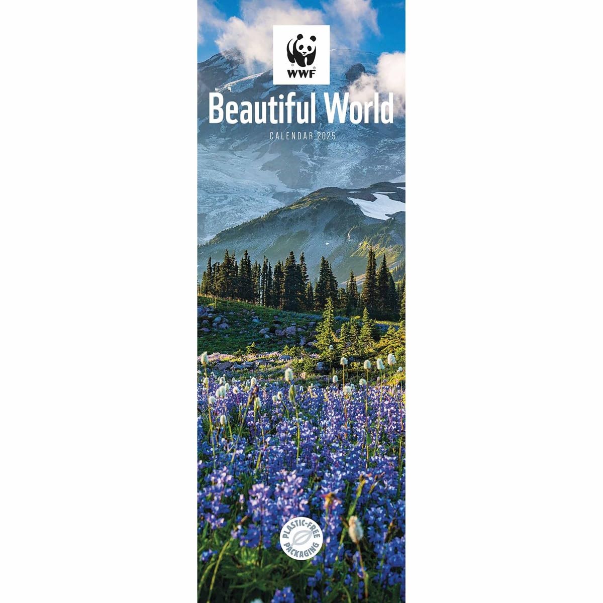 2025 Calendar Slim Beautiful World