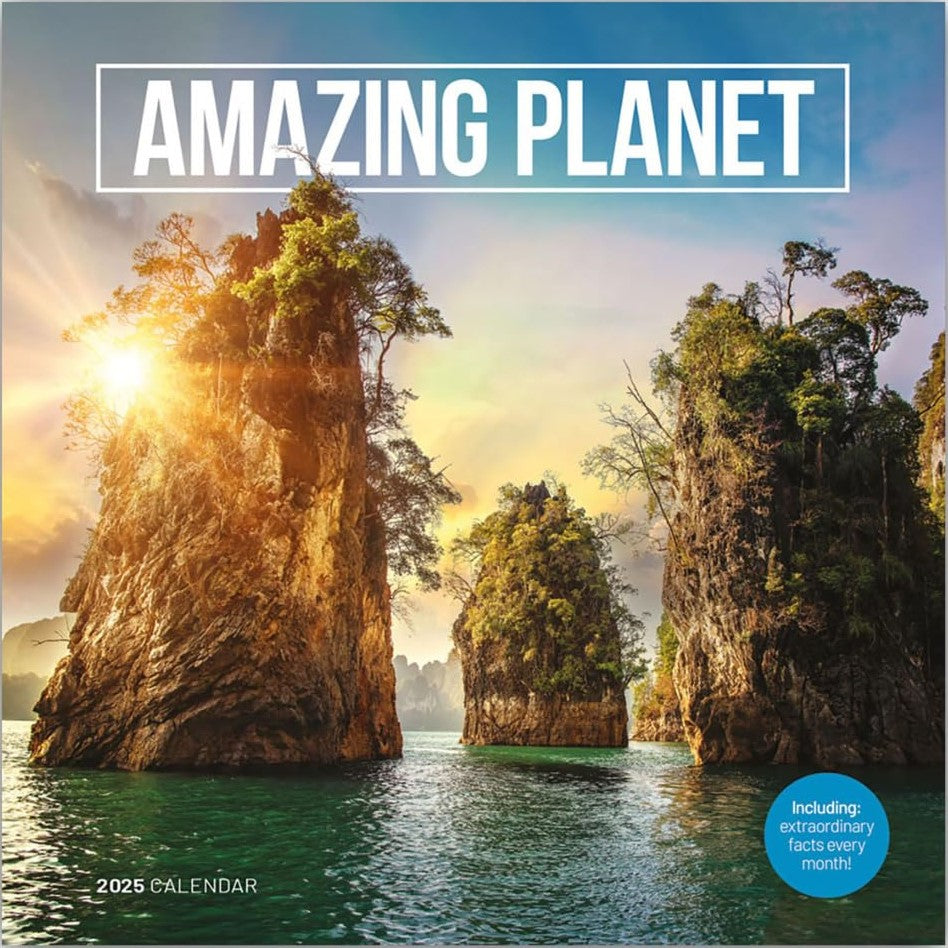 2025 Calendar Amazing Planet