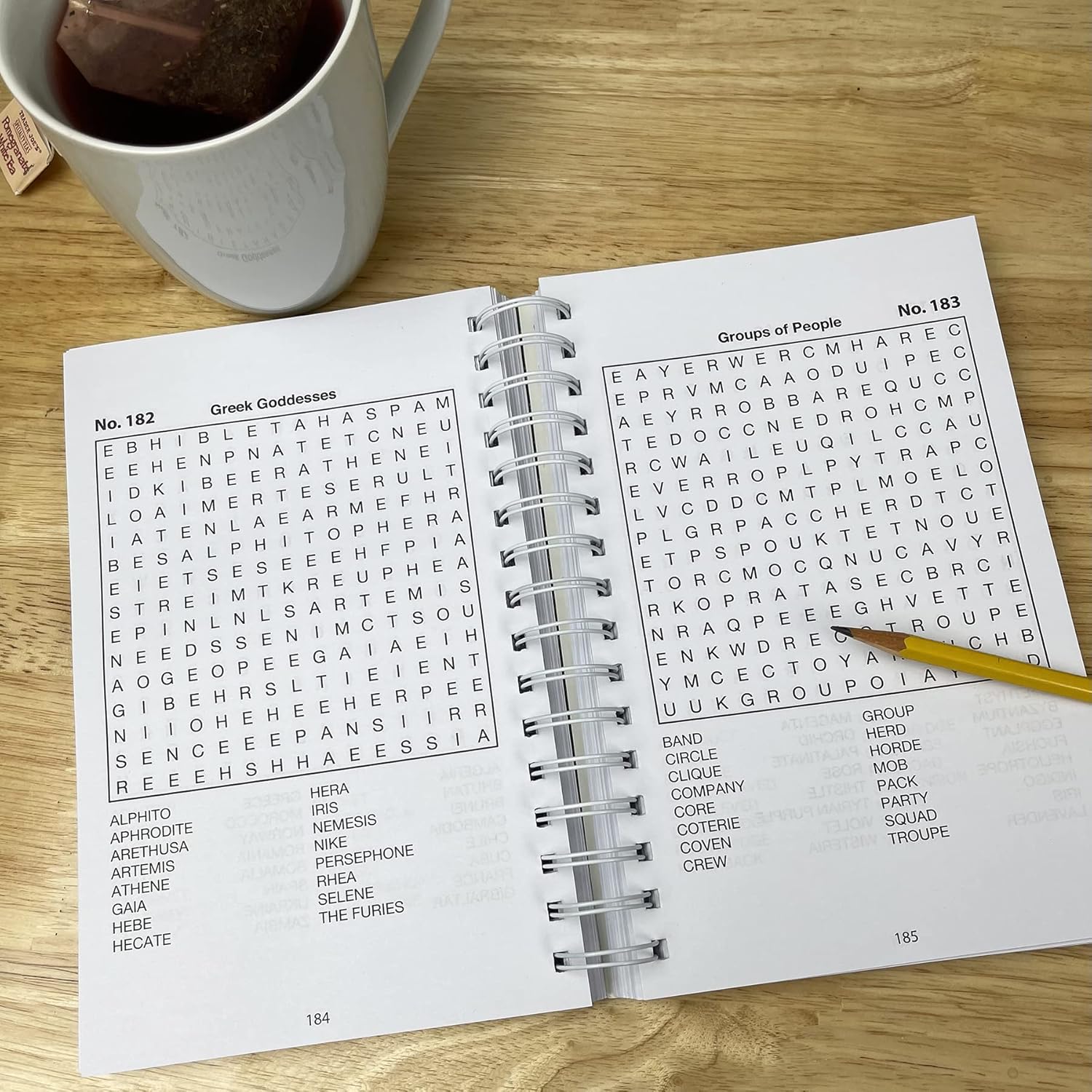 Word Search 300 Puzzles - Brain Busters