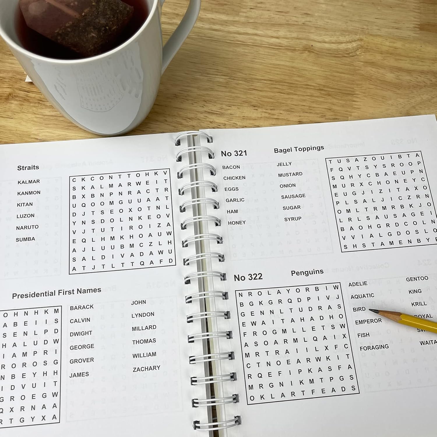 The Big Book Of Word Search 500 Puzzles - Brain Busters