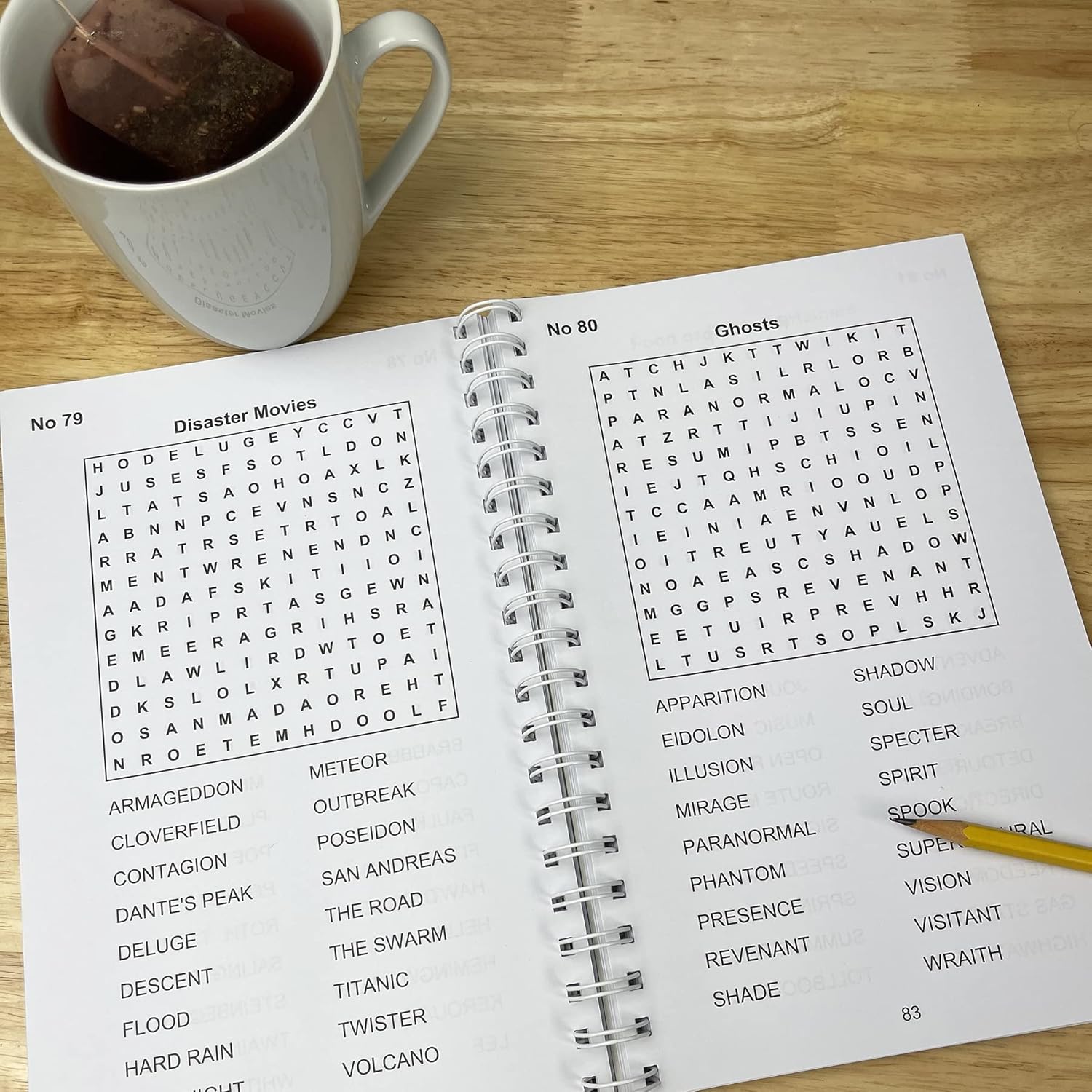 Large Print Word Search 200 Puzzles - Brain Busters