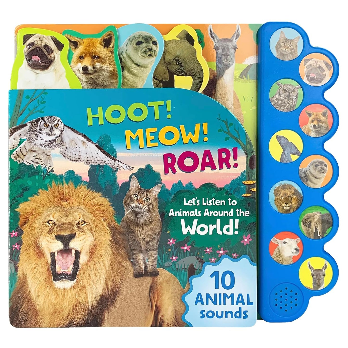 Hoot! Meow! Roar! Let's Listen to Animals Around the World! - Board bo