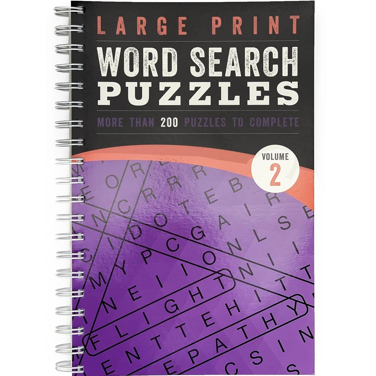 Large Print Word Search 200 Puzzles - Brain Busters