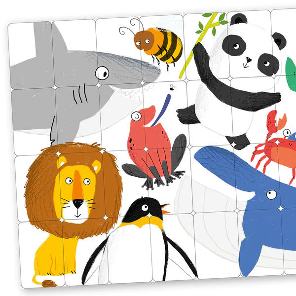 Animal Snap! 10 Card Games To Play