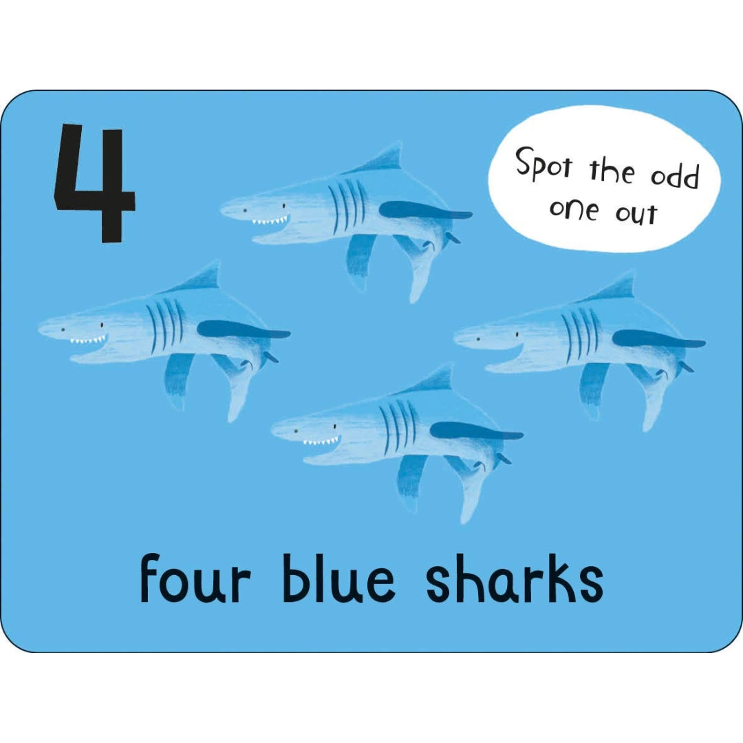 Miles Kelly - Lots To Spot Flashcards - Animals!