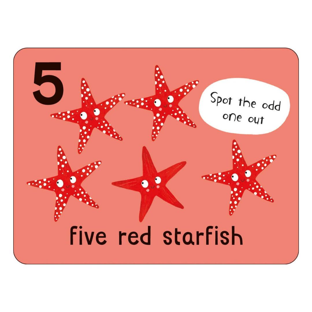 Miles Kelly - Lots To Spot Flashcards - Under the Sea! +3y