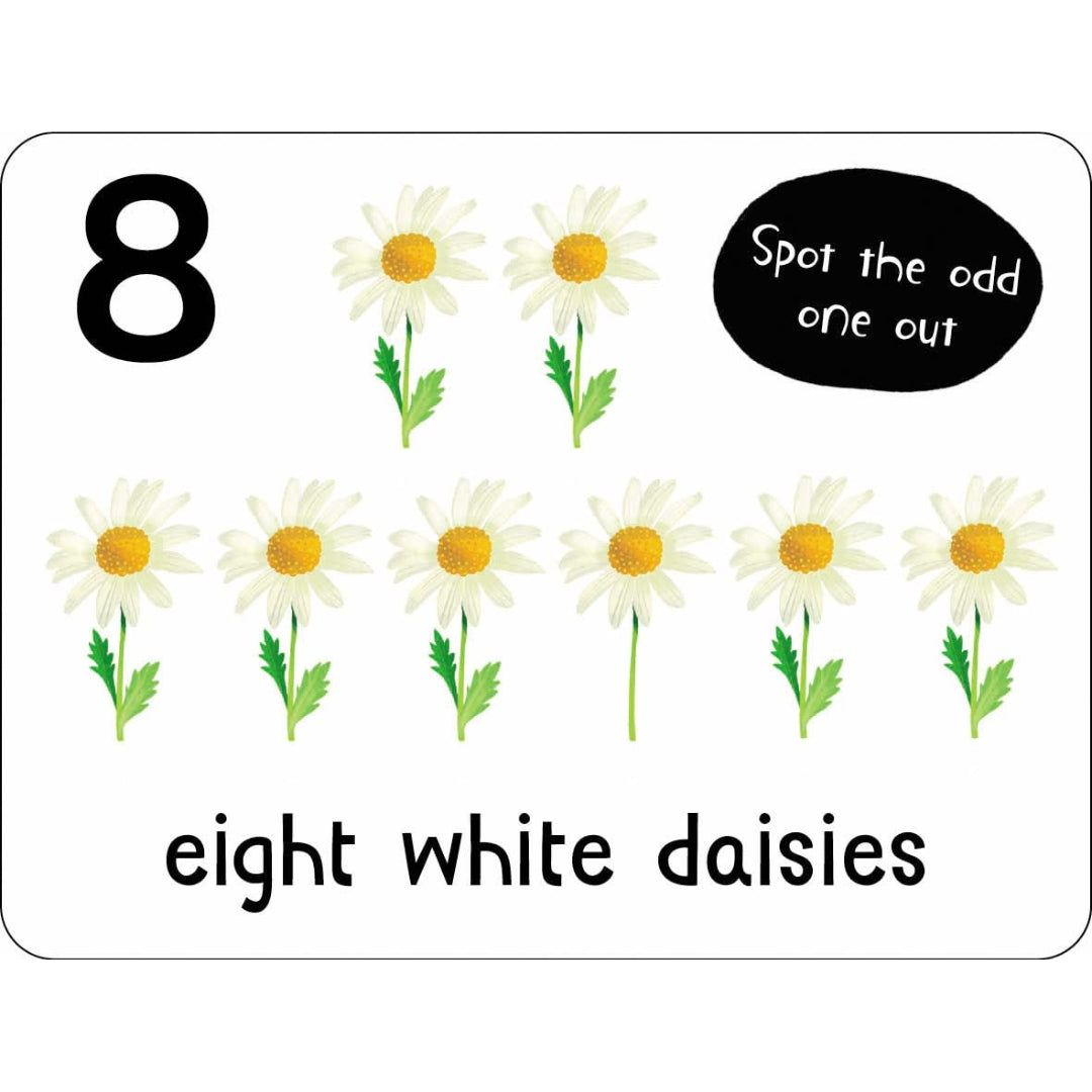 Miles Kelly - Lots To Spot Flashcards - Nature!