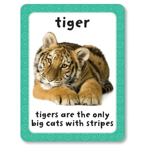 Miles Kelly Flashcards - Animals