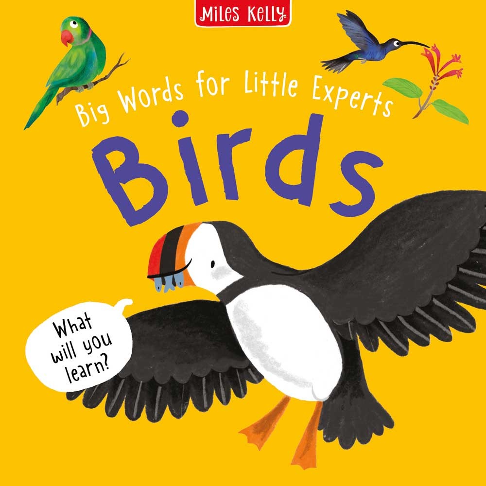 Miles Kelly - Big Words For Little Experts - Birds - Paperback