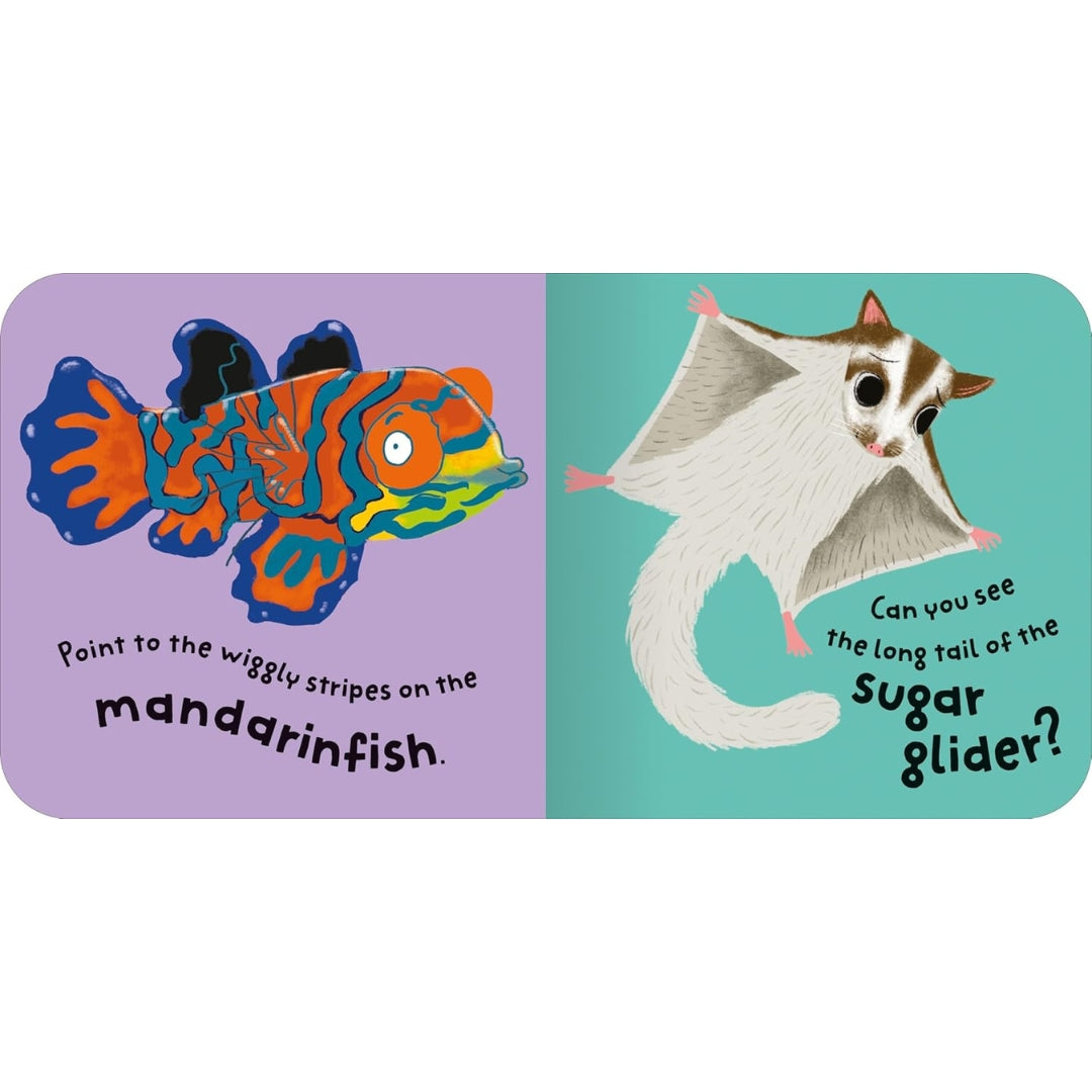 Miles Kelly - Spot And Do - Animals - Board Book