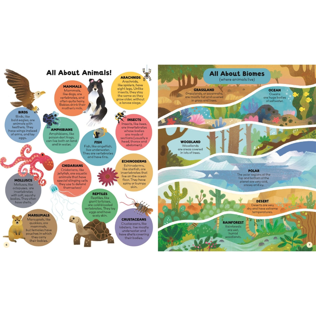 Curiosity Club - Animals