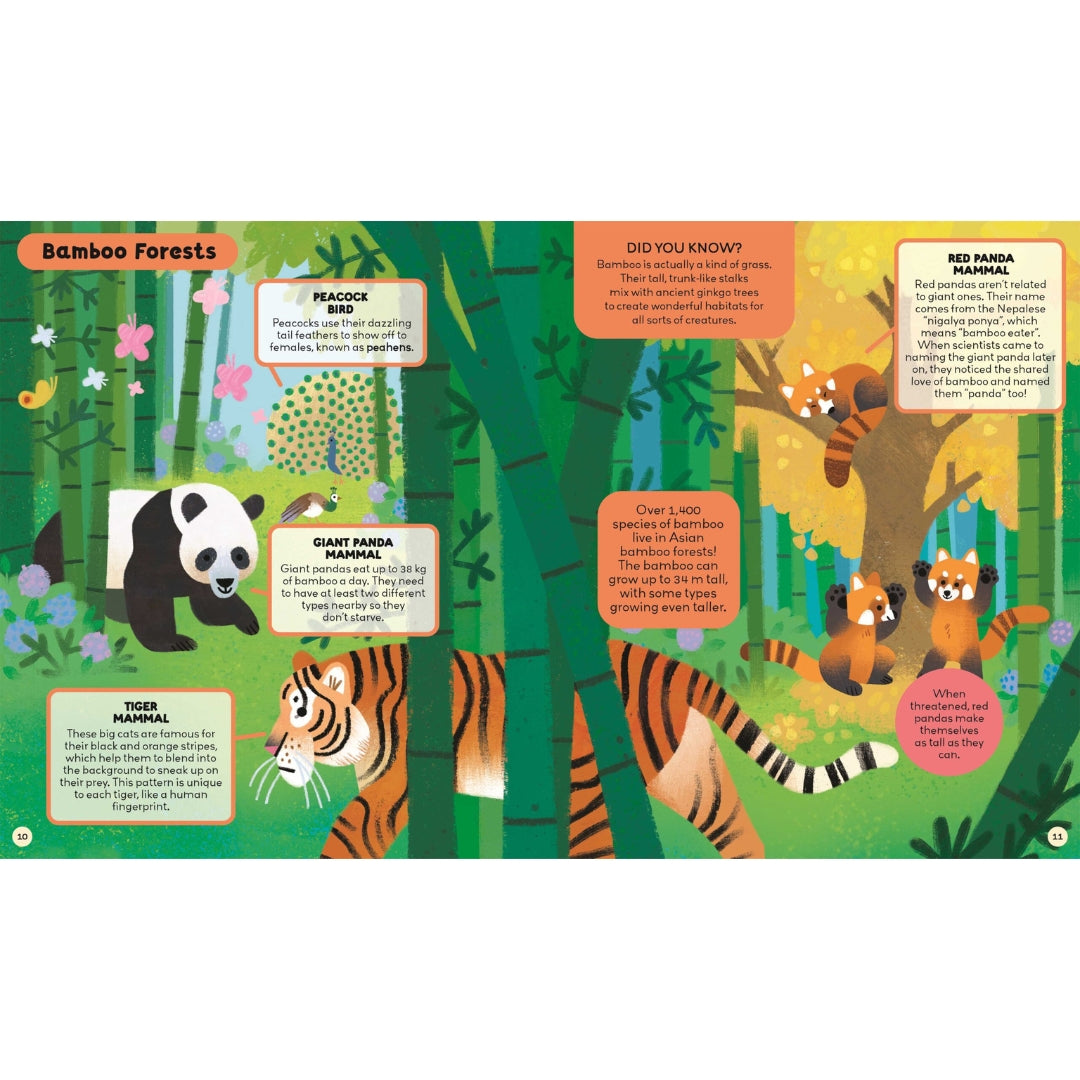 Curiosity Club - Animals