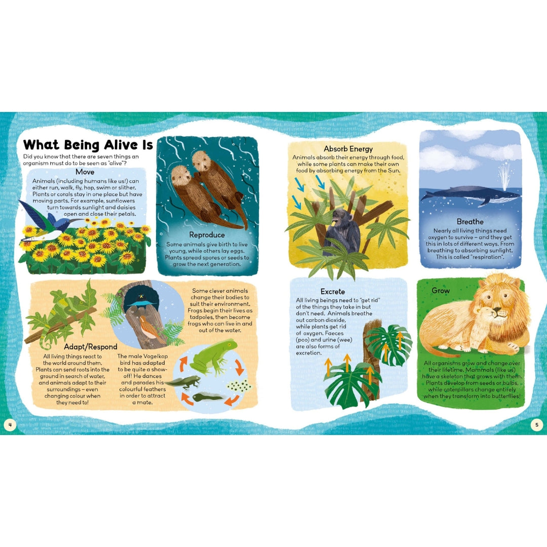 Curiosity Club - Natural World