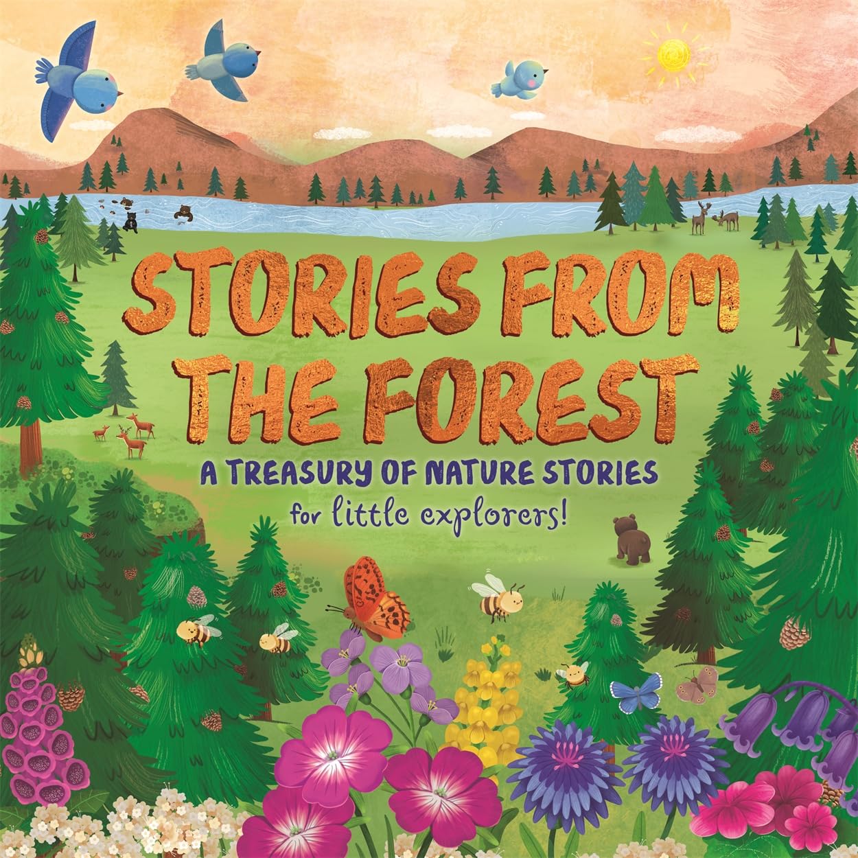 Stories From The Forest - Hardback