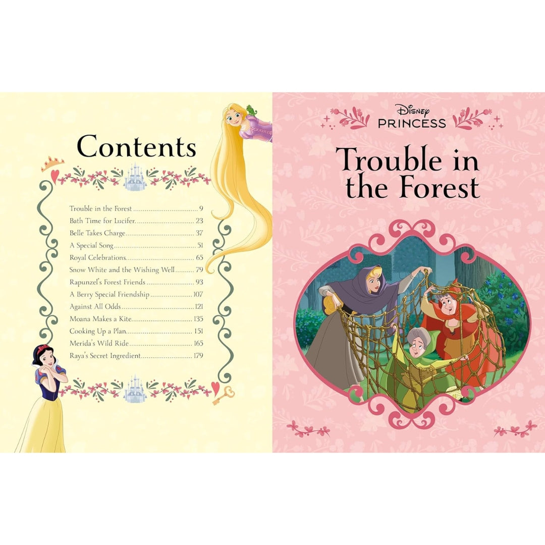 Disney Princess - A Spectacular Storybook Collection - Hardback