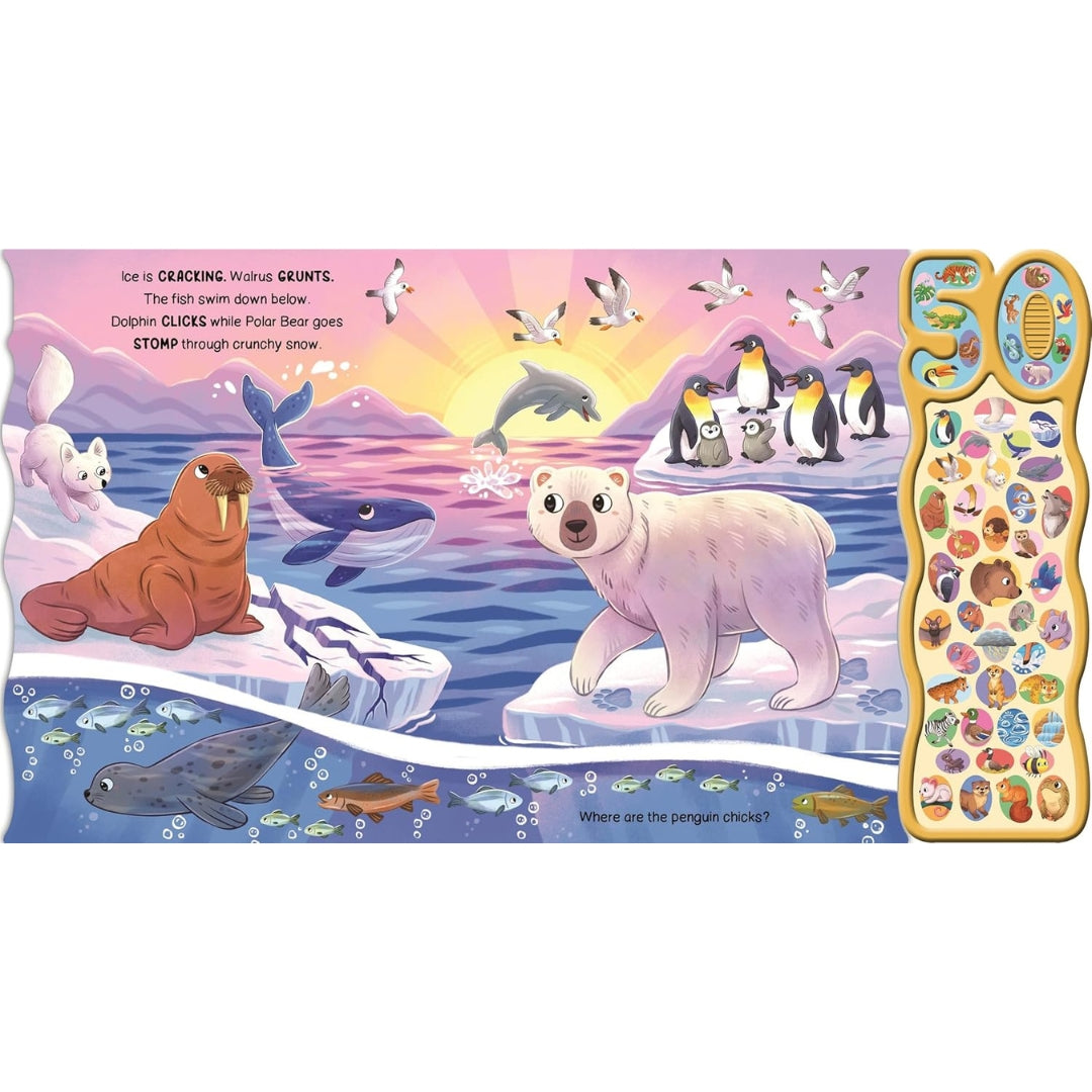 In The Wild - 50-Button Sound Board Book