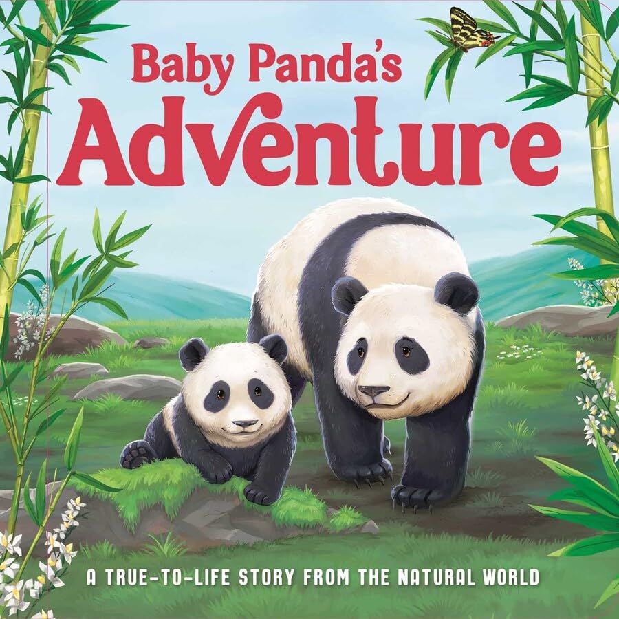 Baby Panda's Adventure - Board Book