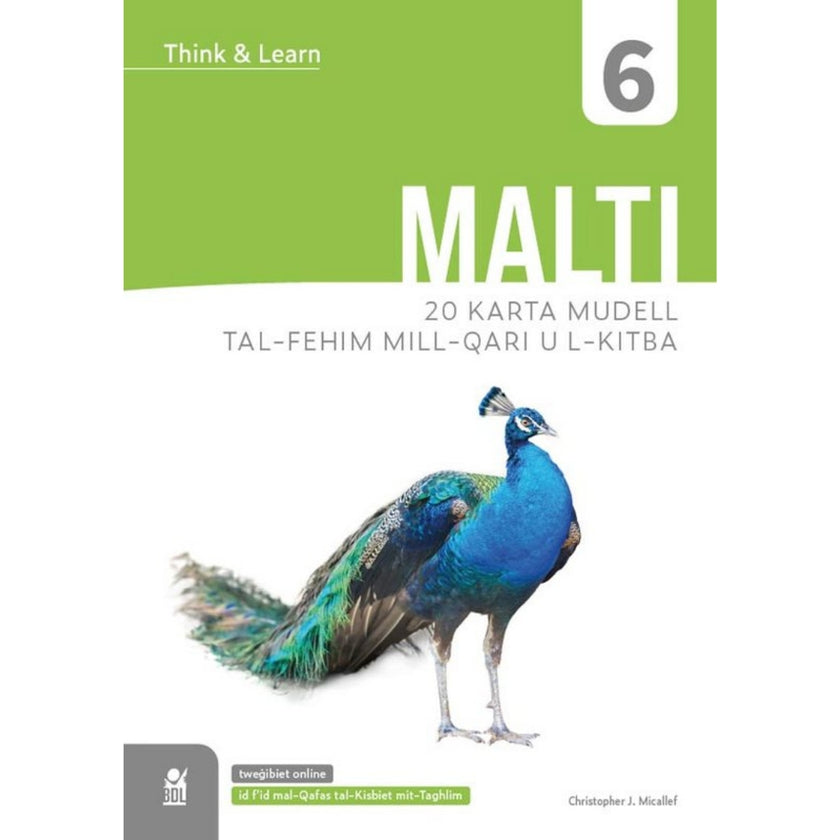 Think & Learn - Year 6 - Malti - 20 Karta Mudell Tal-Fehim Mill-Qari U L-Kitba