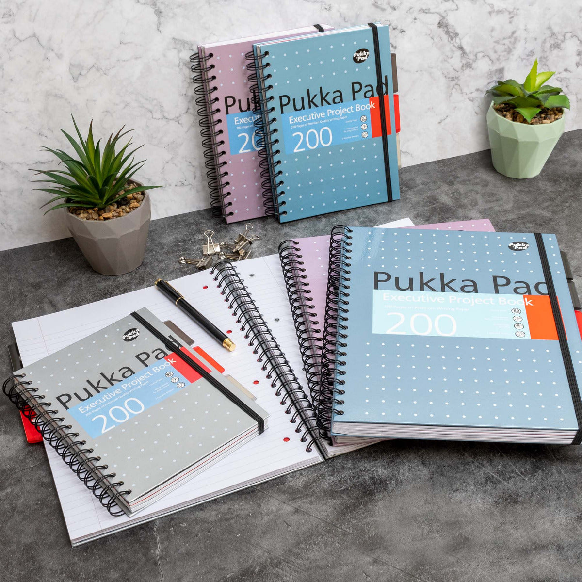 A5 Pukka Pad Side-Spiral Lined Project Book With Dividers - Metallic Executive - Various Colours