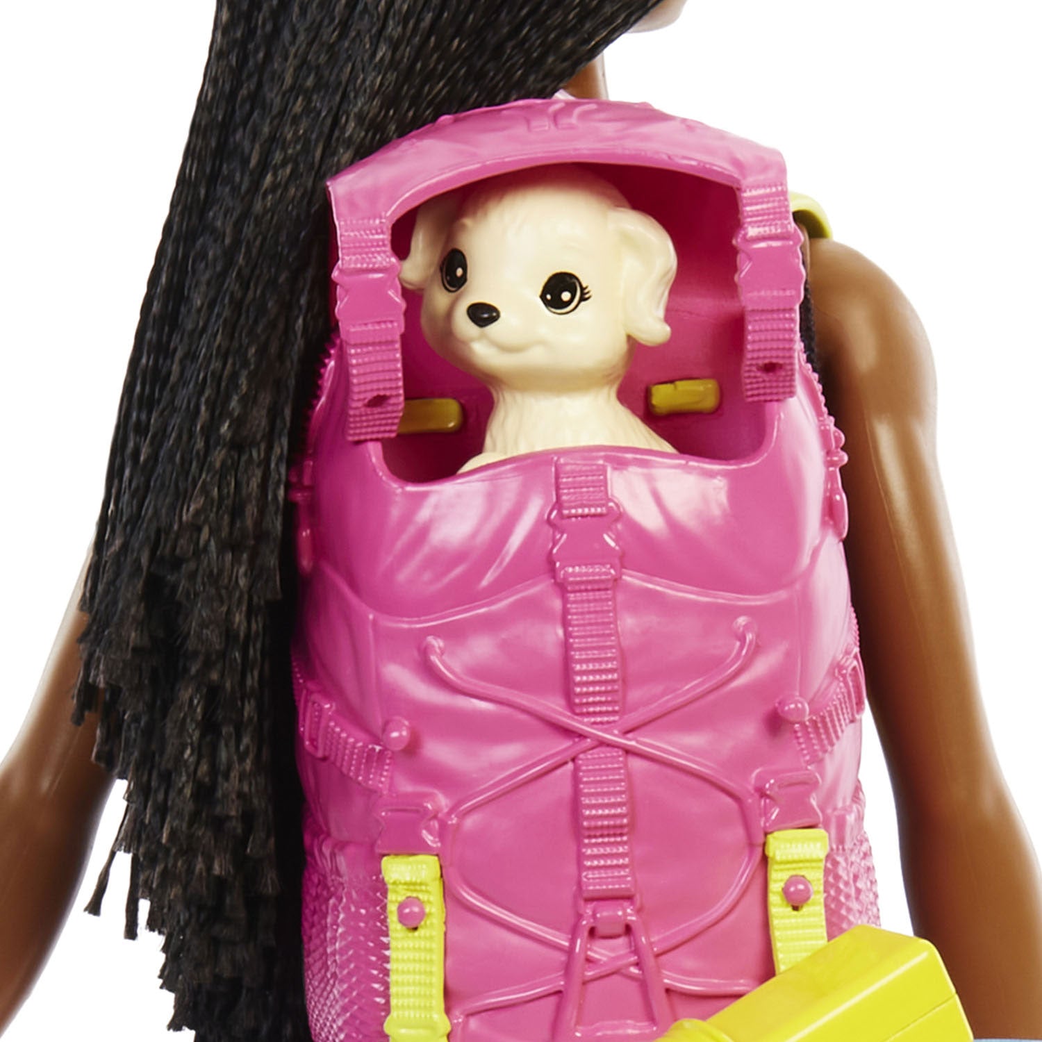 Barbie Brooklyn Camping Doll with Puppy