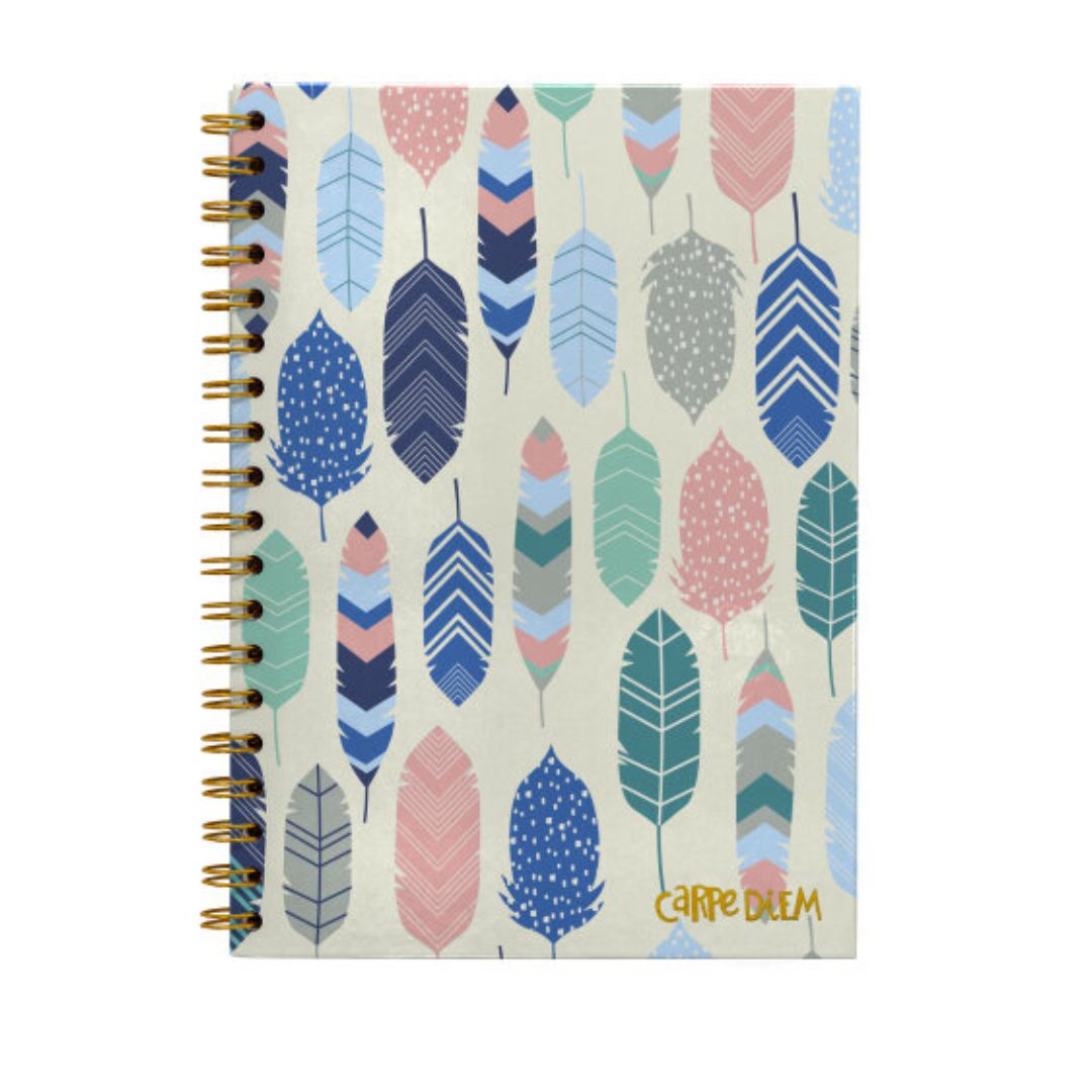 B5 Carpe Diem Spiral Hardcover Notebook Feathers