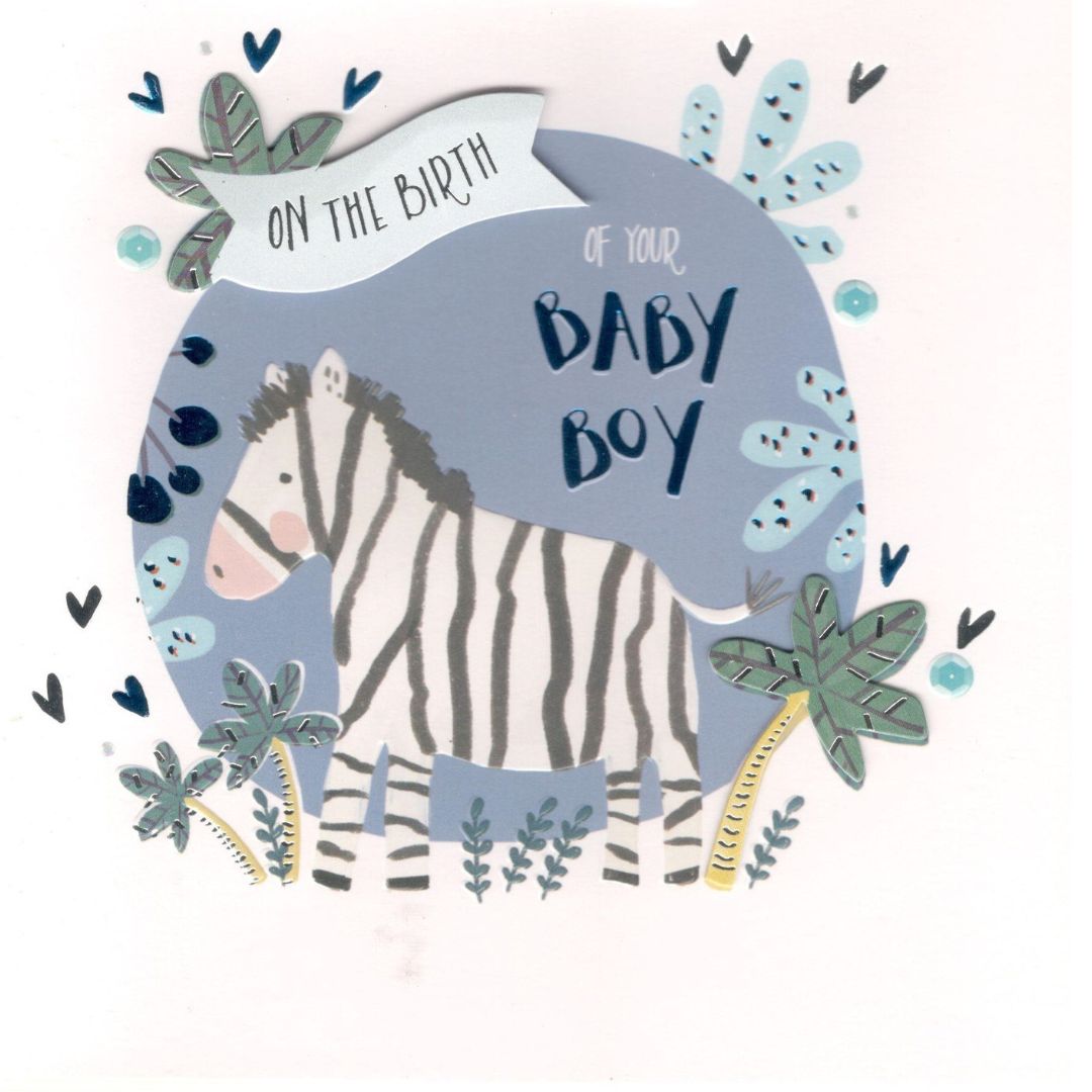 On The Birth Of Your Baby Boy' Greeting Card