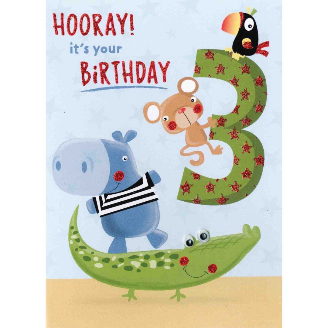 Hooray Its Your Birthday 3' Greeting Card