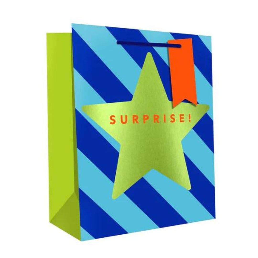 Hallmark Gift Bag S/Mediium - Surprise!