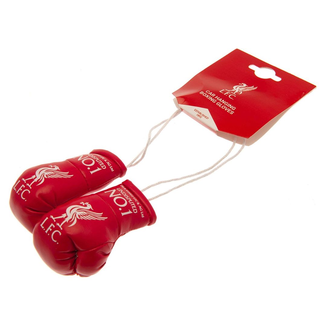 Liverpool Car Hanging Boxing Gloves