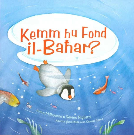 Pipkin - Stejjer Varjati - Kemm Hu Fond Il Bahar?